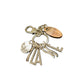 PF14 4799 - Accessori - ALVIERO MARTINI