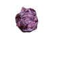 STAN 9279 - PASHMINA - MIMI MUA