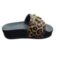 BA6077EX022S19C1 - SCARPA - LIU-JO